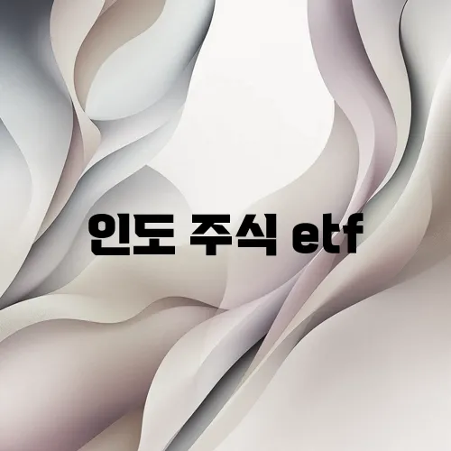 인도 주식 etf