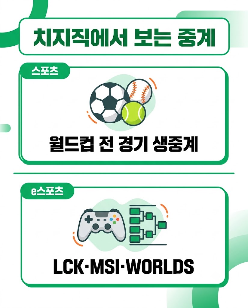치지직 스포츠 e스포츠 중계 종류 월드컵 LCK 축구 야구 비교 인포그래픽