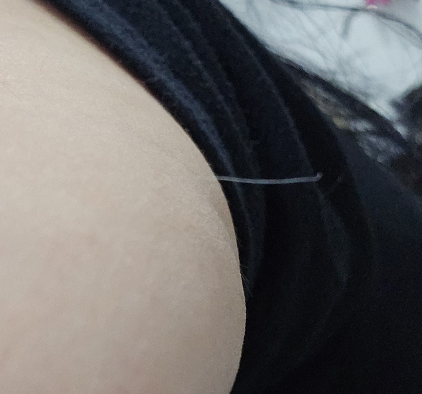 하얀 털