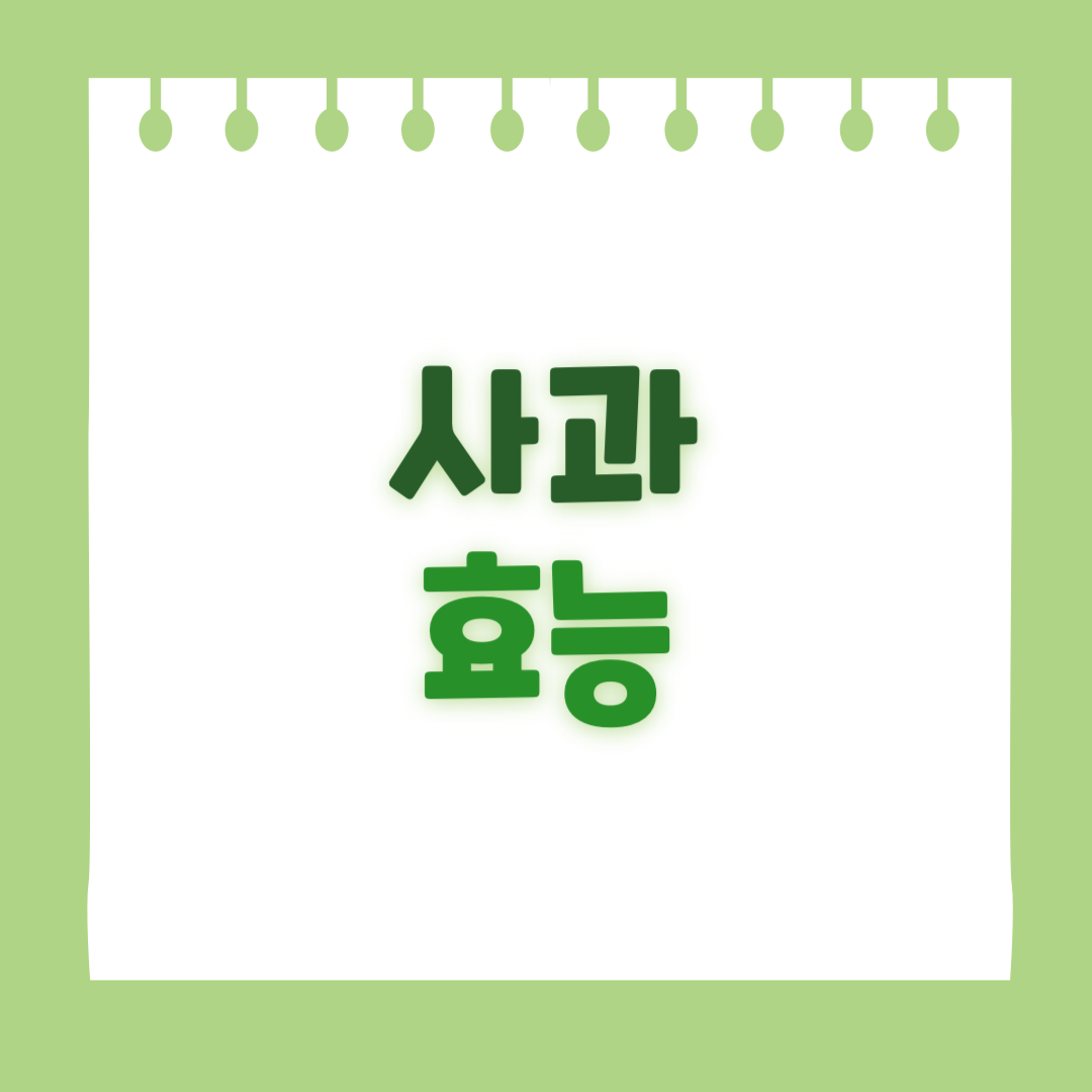 사과의 효능