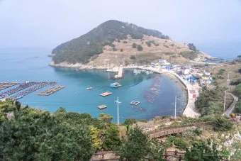 통영 연화도 수국 꽃길 산책 코스와 최적 관람 시기_17