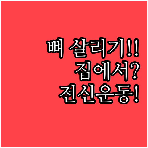 집에서 하는 골다공증 근력운동 총정리..