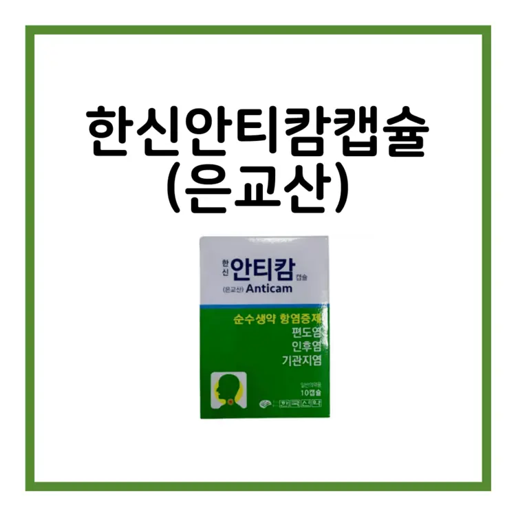 한신안티캄캡슐(은교산)-이미지