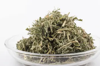 야관문 효능효과 먹는방법, 부작용