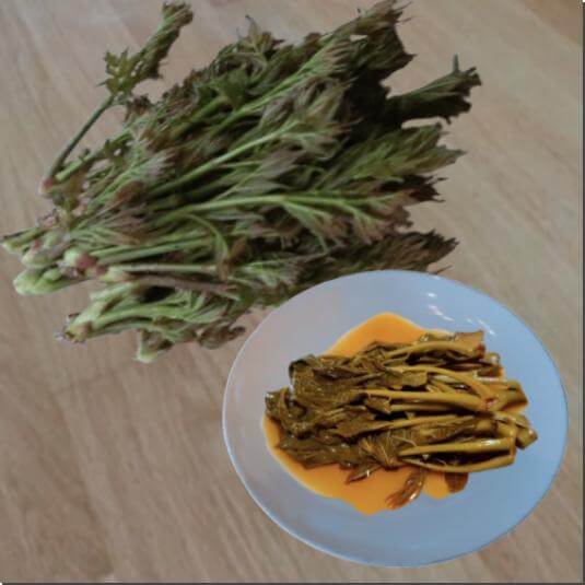 가죽나물 먹는 법과 주의점