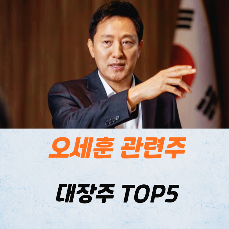 오세훈 관련주 대장주 테마주 수혜주 TOP5