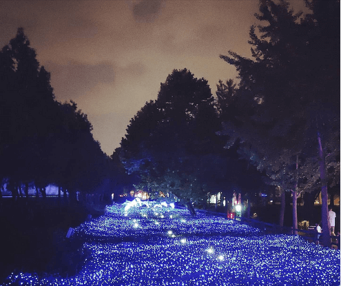 노원-첫번째-2023-크리스마스축제-노원불빛정원-일정-프로그램-장소-안내