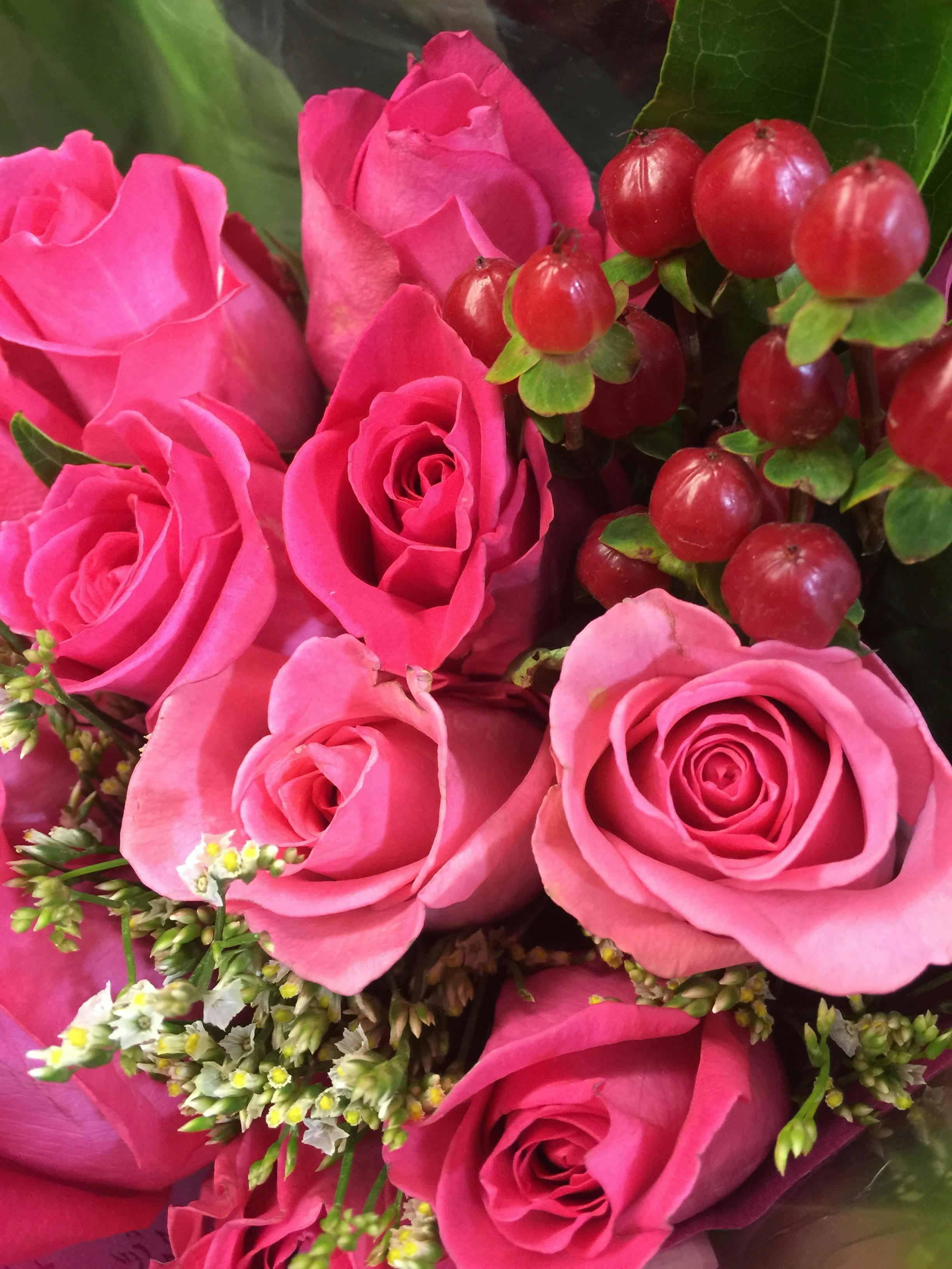 2025 서울대공원 장미원 축제 입장료 기간 일정 총정리