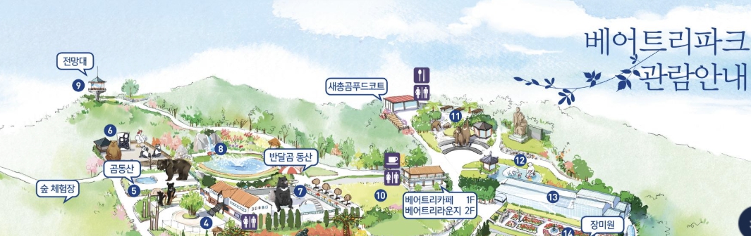 베어트리파크의 50년 세월이 깃든 울창한 숲