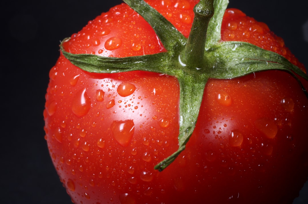 Vegetable