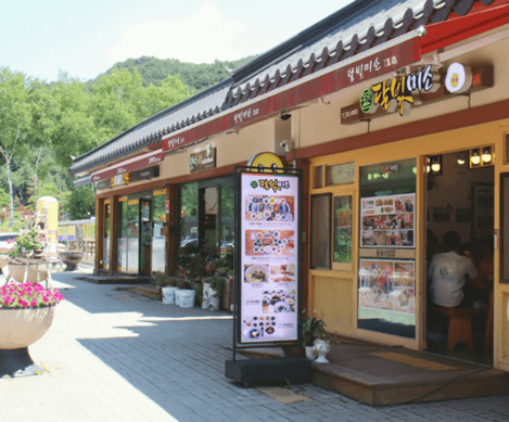 단풍여행 당일 단풍버스여행