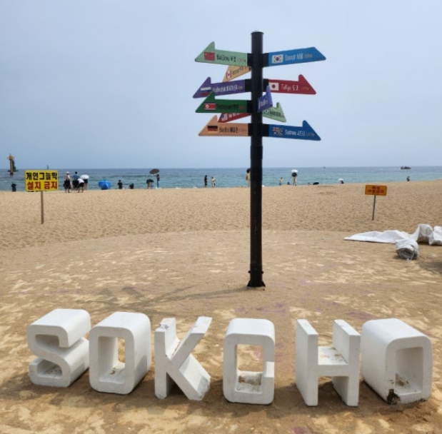 강원도 6월 축제 총정리 꽃축제, 해변축제, 문화행사