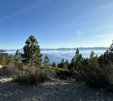 Chickadee Ridge