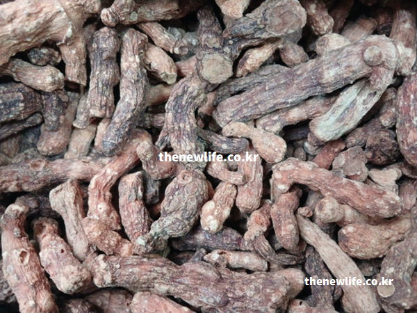 둥굴레 효능을 돕는 트립토판 성분이 세로토닌 분비를 촉진해 불면증완화를 돕는 실사진