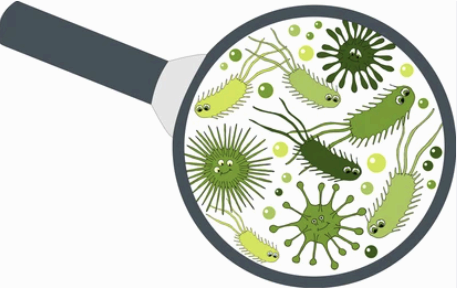 미생물 생균수 측정 방법