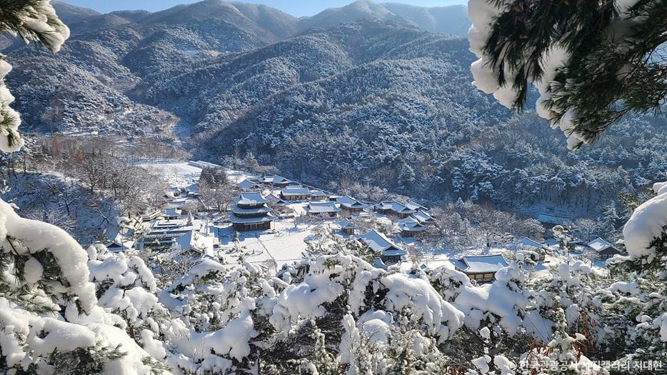 금산사 설경