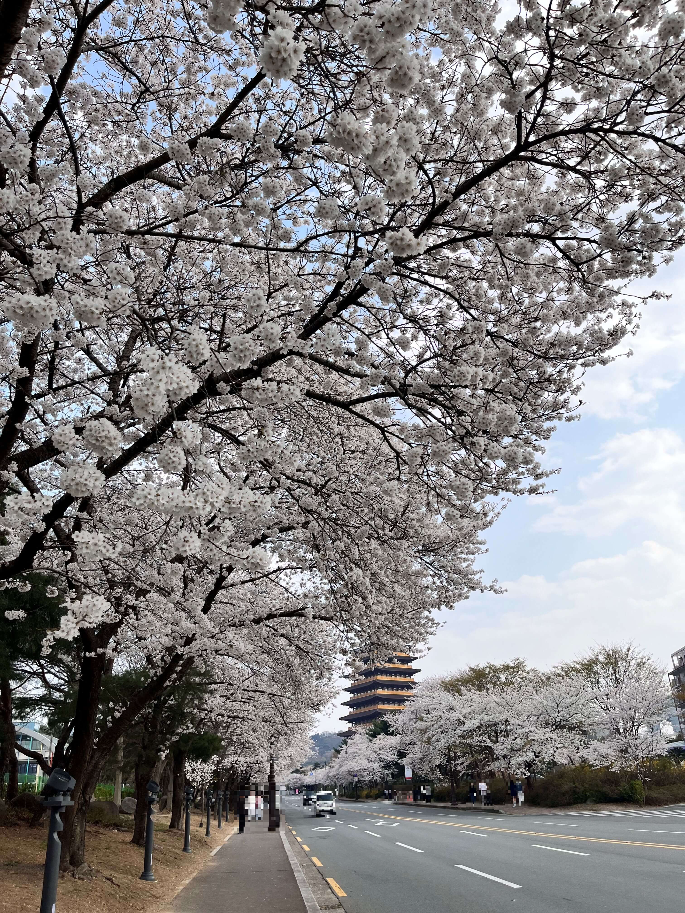 경주 황룡원