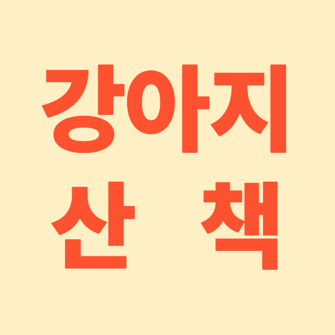 강아지 산책의 중요성