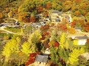 단풍여행 1박2일 버스 단풍구경