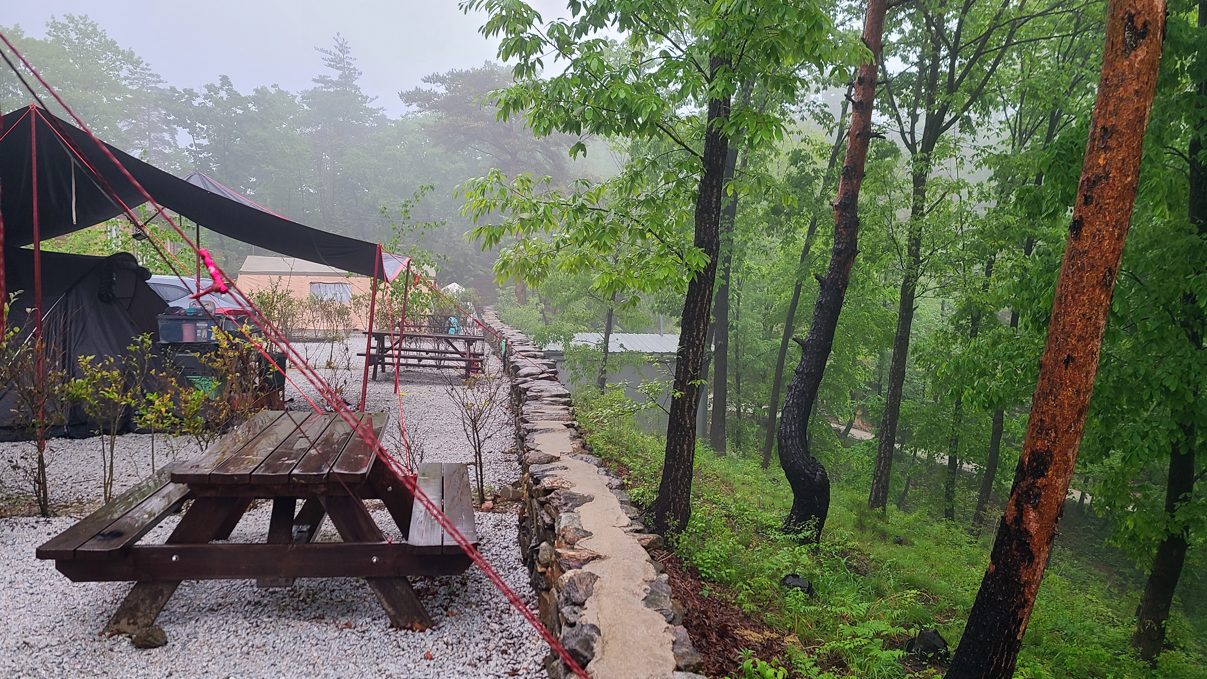 산중 숲속 오토캠핑장