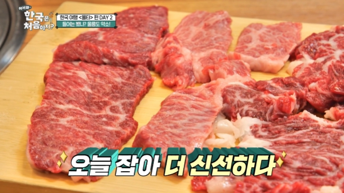 어서와-한국은-처음이지-몰타편-울릉도-약소