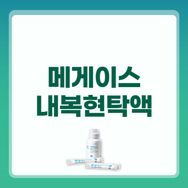 메게이스 내복현탁액 복용법 복용시간 부작용 가격