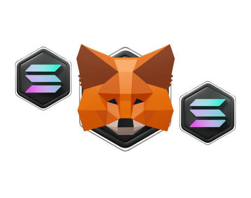 메타마스크 솔라나