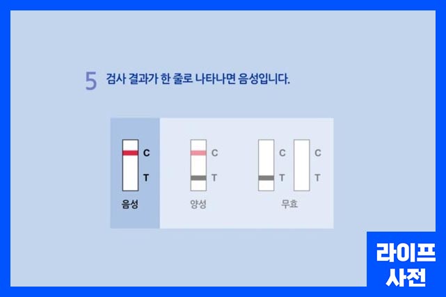 검사 결과가 한 줄로 나타나면 음성입니다. 두줄이면 양성