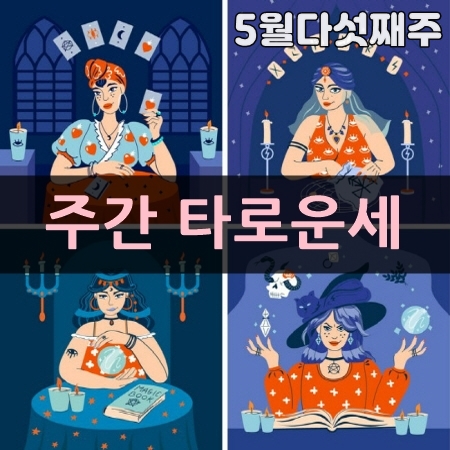주간 타로운세