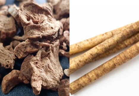 우엉차 효능과 부작용 총정리! 당뇨, 다이어트, 면역력까지 챙기기