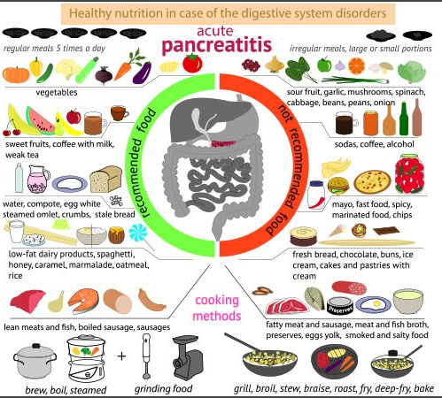 췌장염을 유발하는 주요 식품