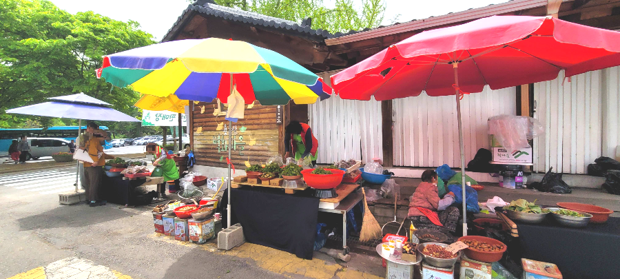 용문산 관광지 나물 판매