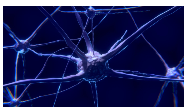 바쁜 일상 속, 나를 돌보고 있나요? – 자율신경실조증을 아시나요?