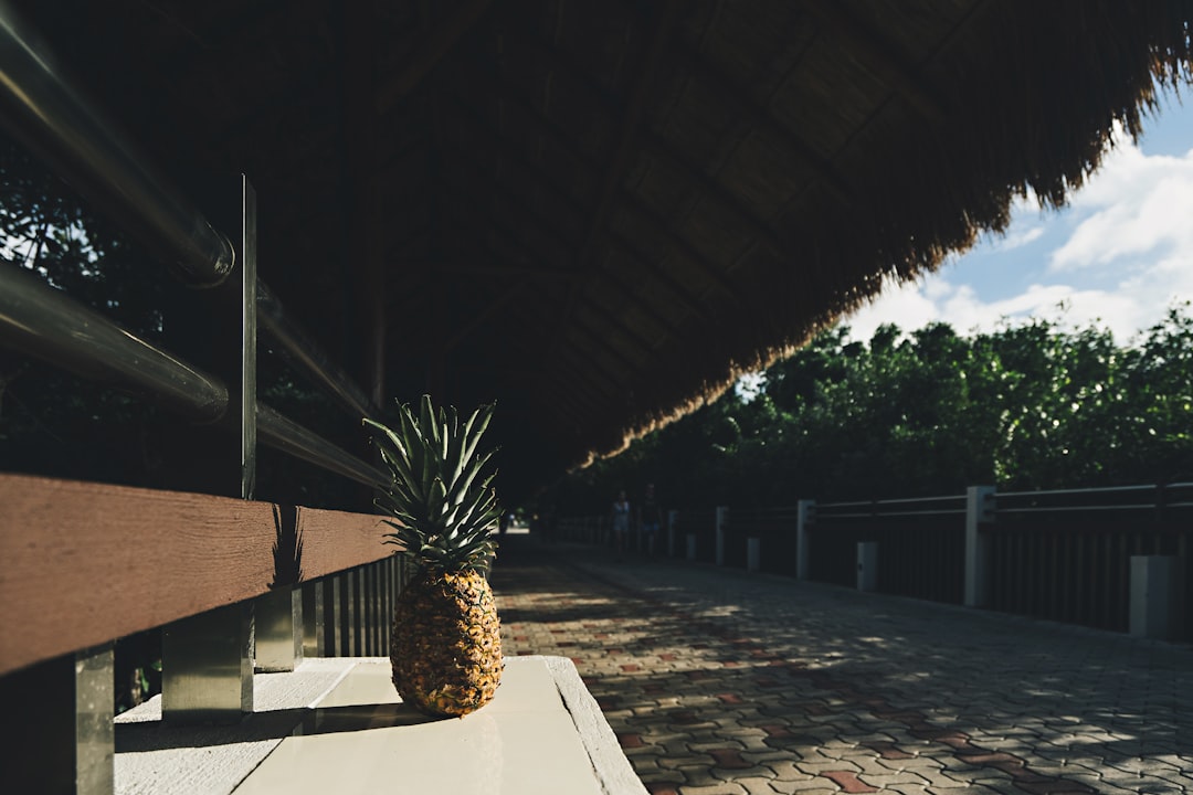 Resort