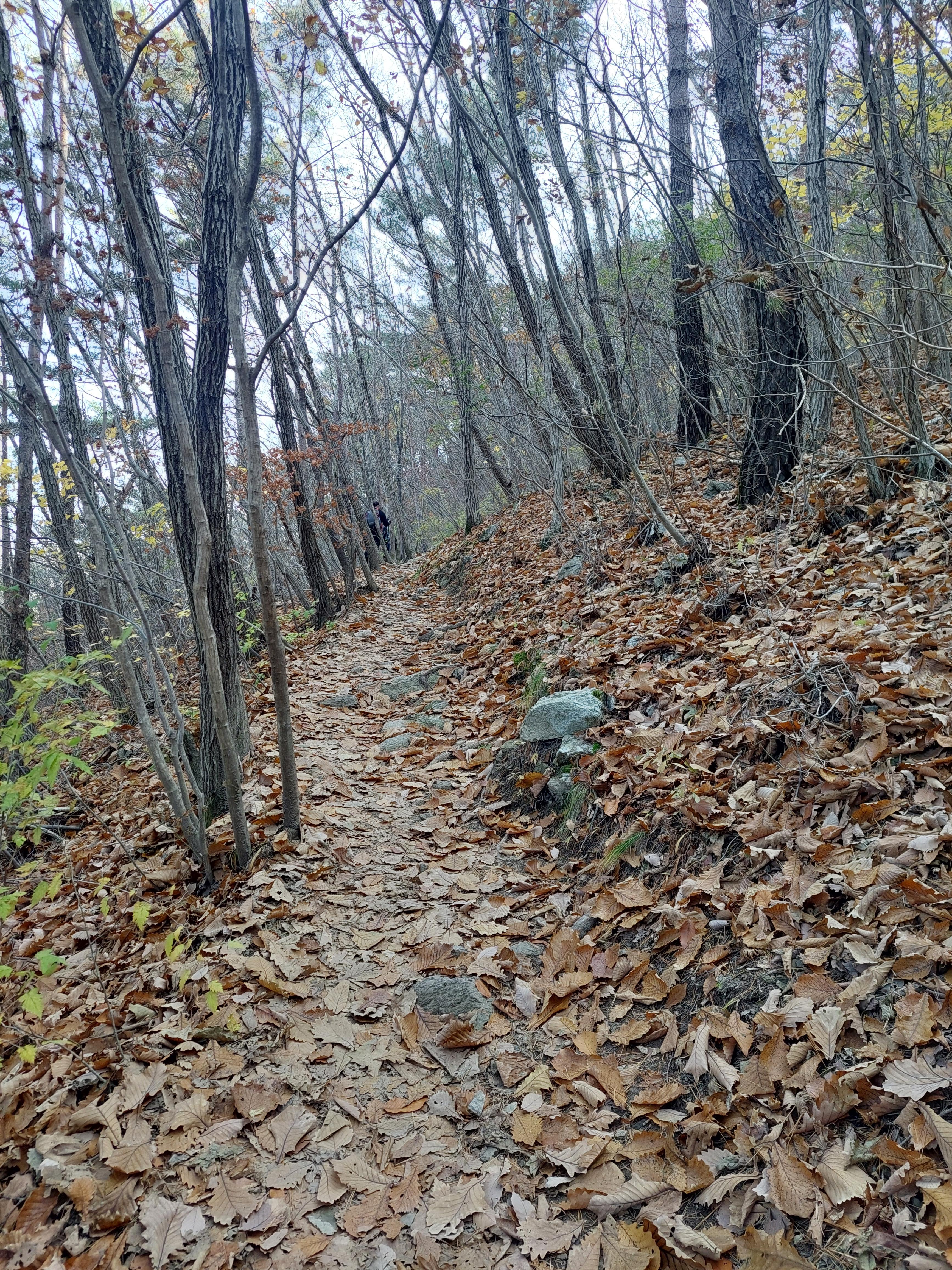 주왕산
