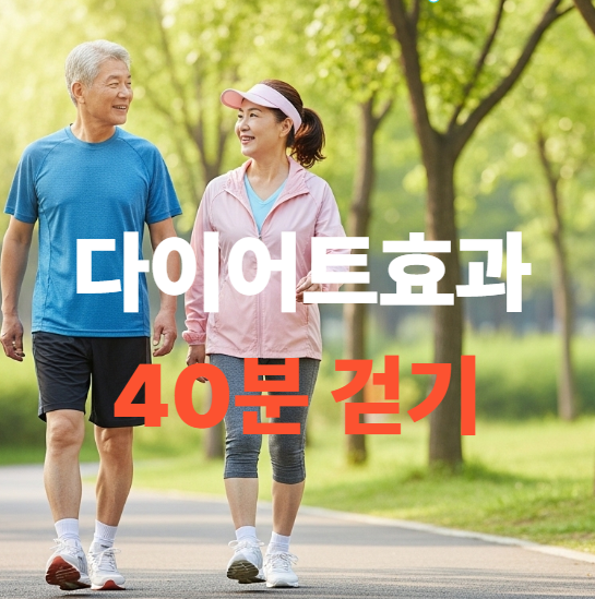 &ldquo;뛰지 마세요.&rdquo; 40분 걷기만으로 체지방이 빠지는 진짜 이유 관련 이미지