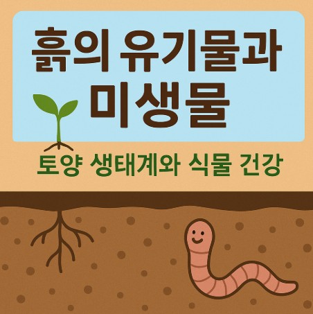 흙의 유기물과 미생물: 토양 생태계와 식물 건강의 관계 사진