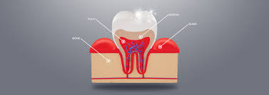 잇몸이 붓고 아플 때