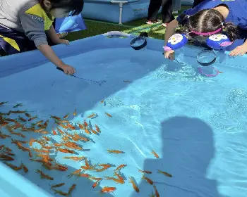 청도 반시축제_24