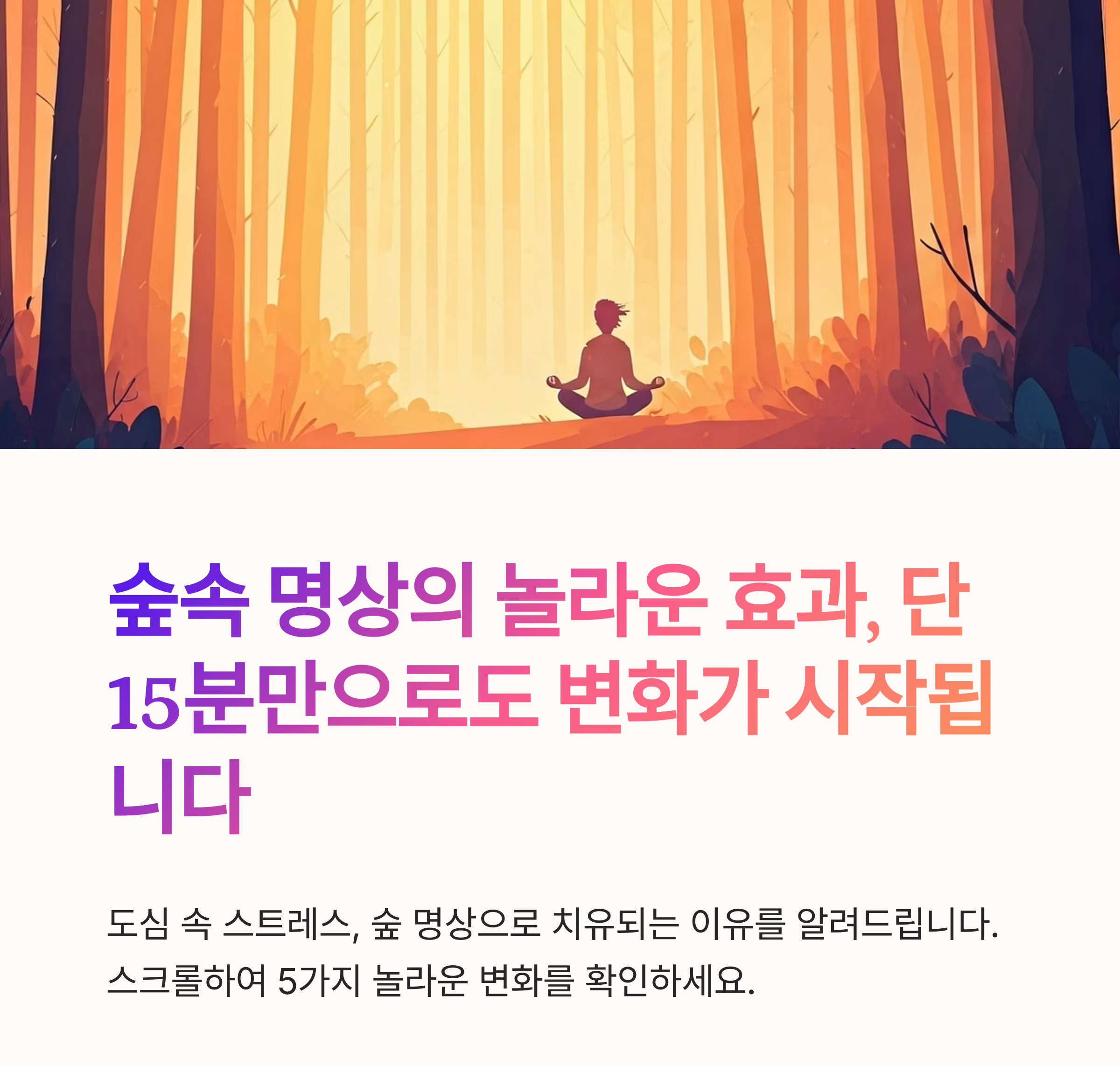숲속에서 명상을 하면 생기는 놀라운 변화 5가지