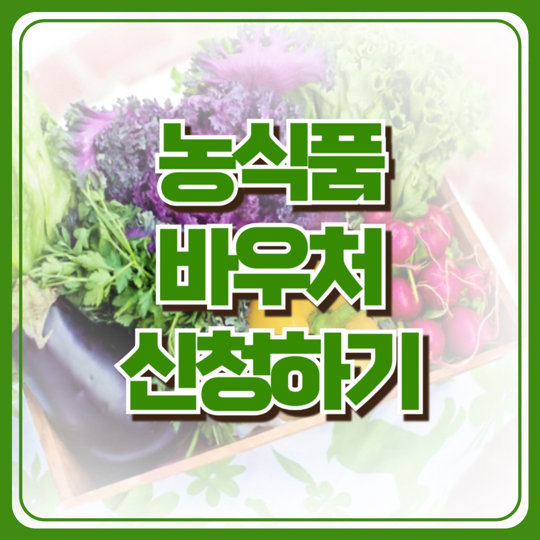 농식품 바우처 신청 안 하면 후회! 지원 대상부터 신청 방법까지 한눈에