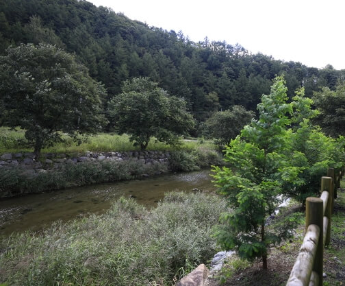 횡성 가볼만한곳 베스트 10