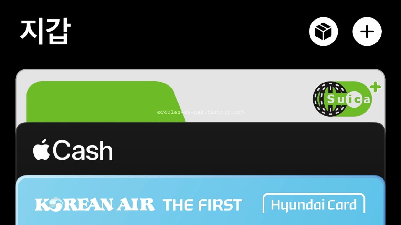 JAPAN-TRAVEL-LIST-SUICA