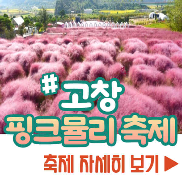 고창 핑크뮬리 축제 자세히 보기