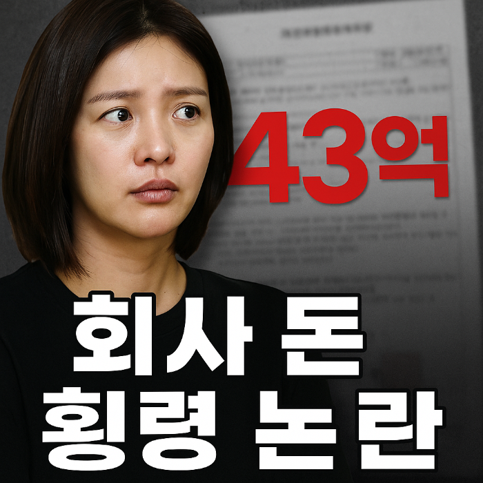 횡령죄, 황정음, 특정경제범죄법, 암호화폐 투자, 가족법인, 대표이사 책임, 형사처벌, 회사자금 유용