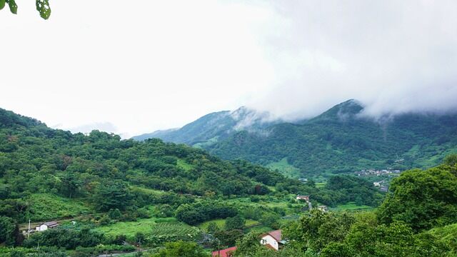 하동군 푸른 산 풍경 사진