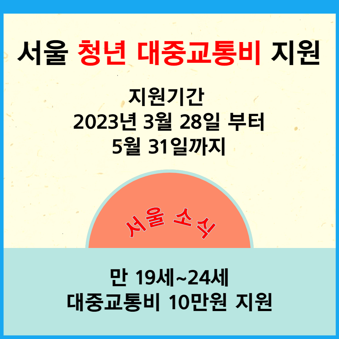 서울 청년