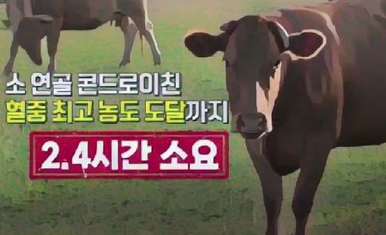 소연골 콘드로이친 혈중 최고 농도 도달 시간