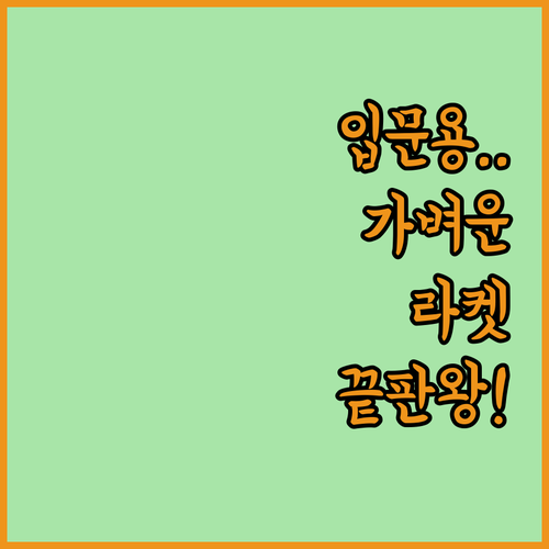 가벼운 입문용 배드민턴 라켓 5가지 ..