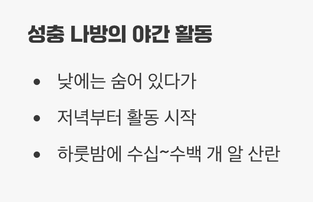 범인은 밤에 활동하는 나방 한 마리